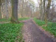 Weg_im_Elmuss_200x200