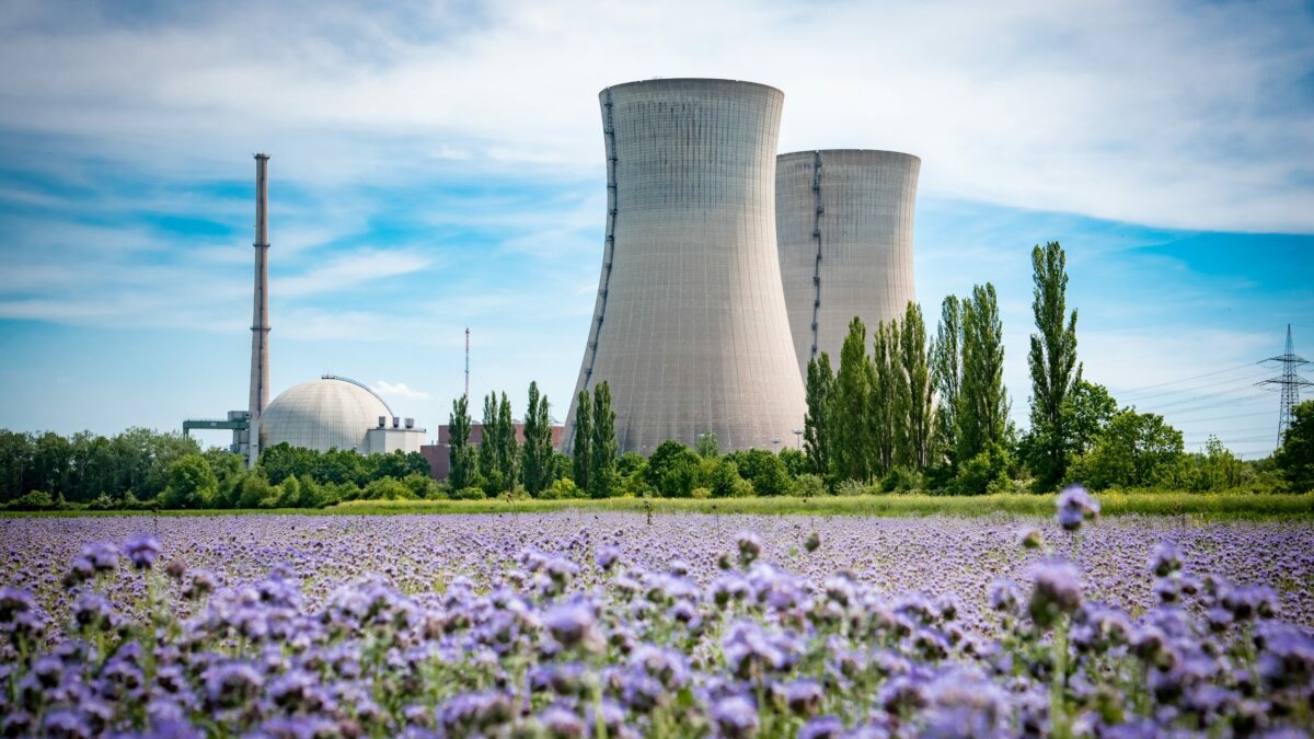 Atomkraftwerk inmitten einer Blumenwiese