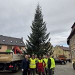 CHRISTBAUM AM MARKTPLATZ